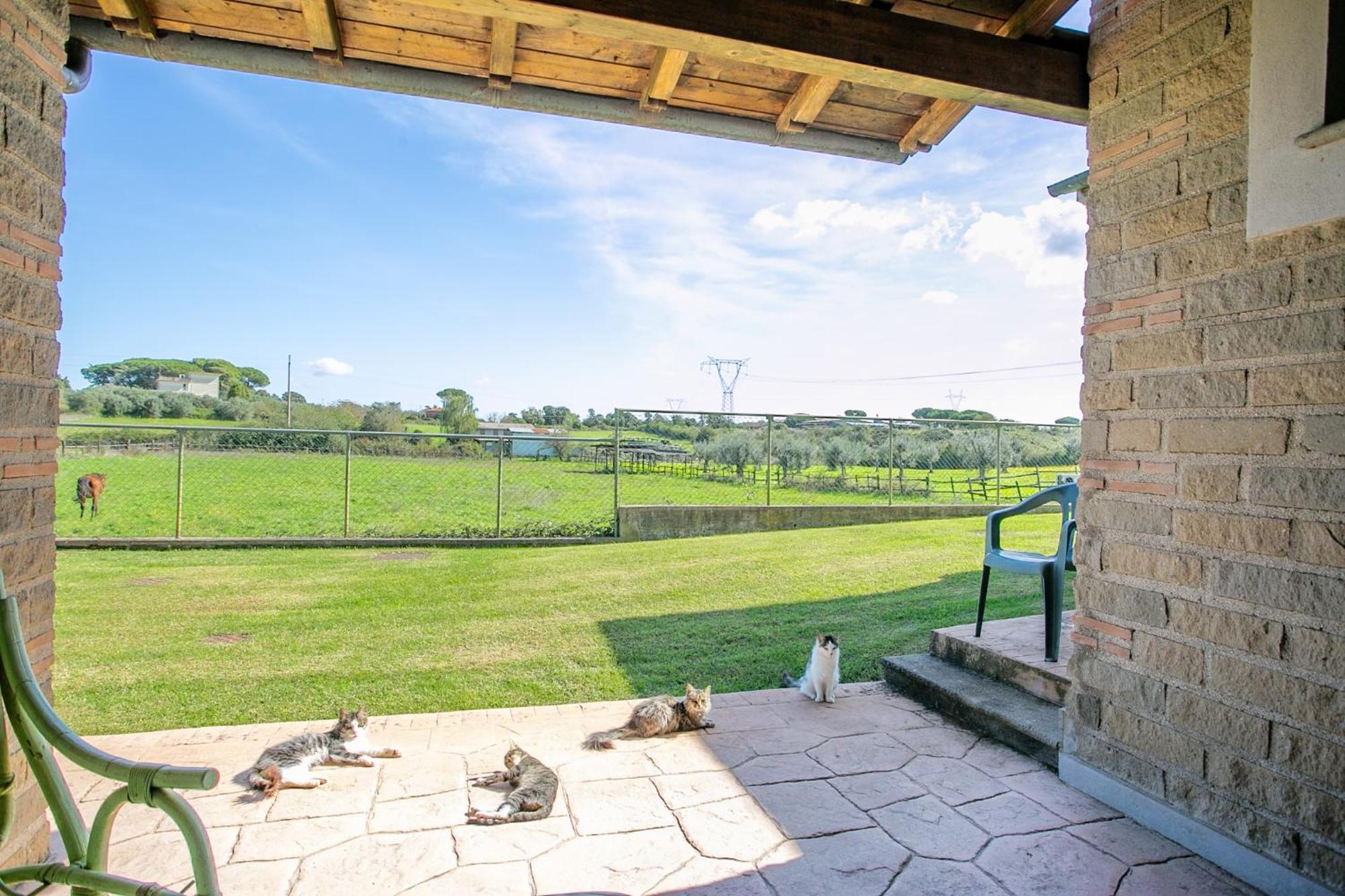 Agriturismo L.B.Stud Bracciano  Exterior photo
